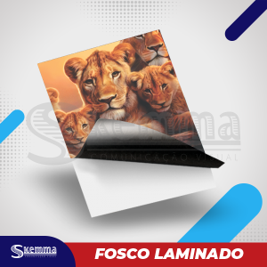 Adesivo BLACKOUT LAMINADO FOSCO Uso interno    Com laminação FOSCA 